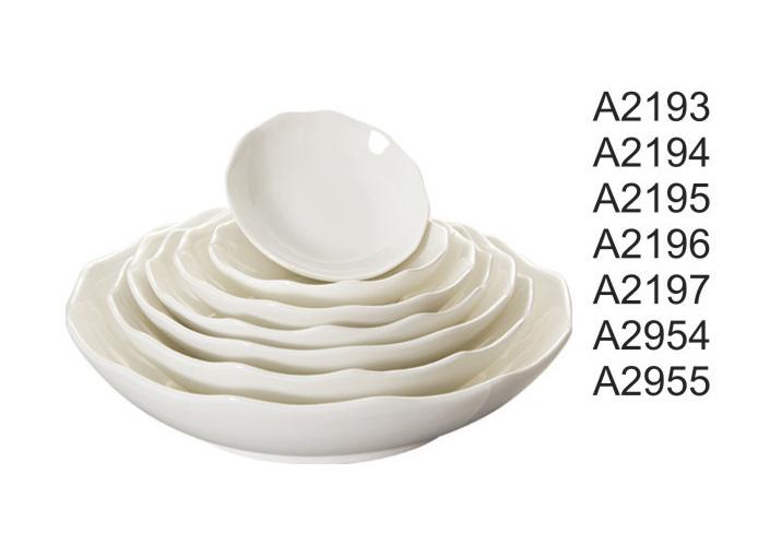 A2193-2955