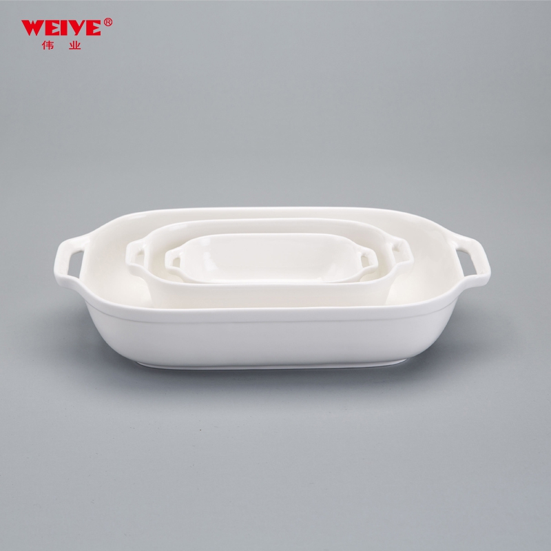 High Alumina Durable Porcelainware-113
